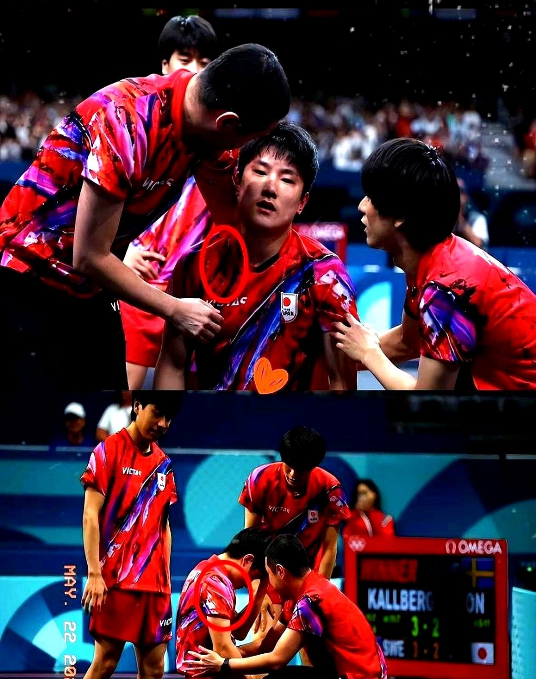 法国乒乓球队鏖战德国乒乓球队,张本智和送出助攻 法国乒乓球队鏖战德国乒乓球队,张本智和送出助攻