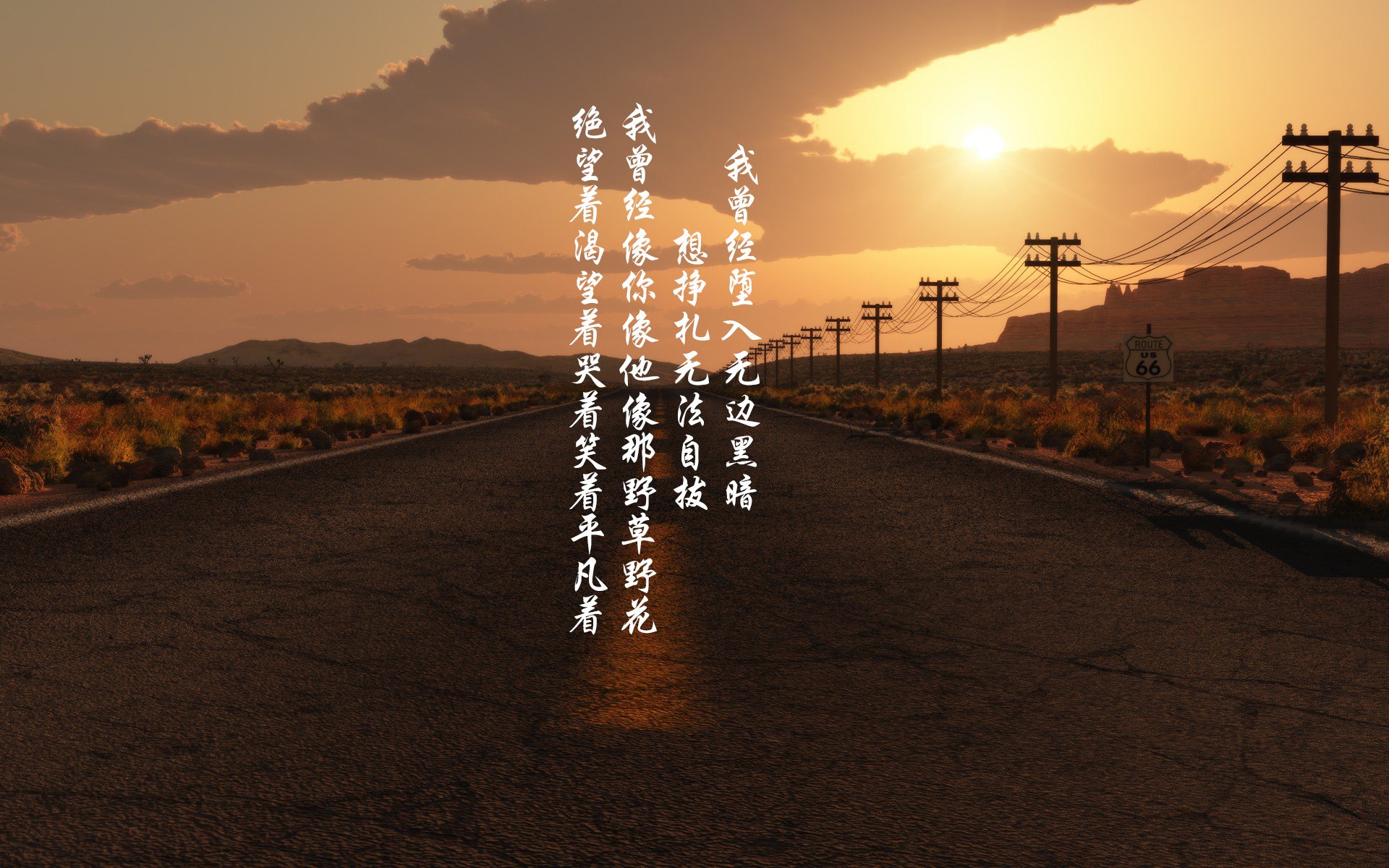 温网炼金术,德约科维奇如何将联合杯的失利淬炼为第24冠的燃料