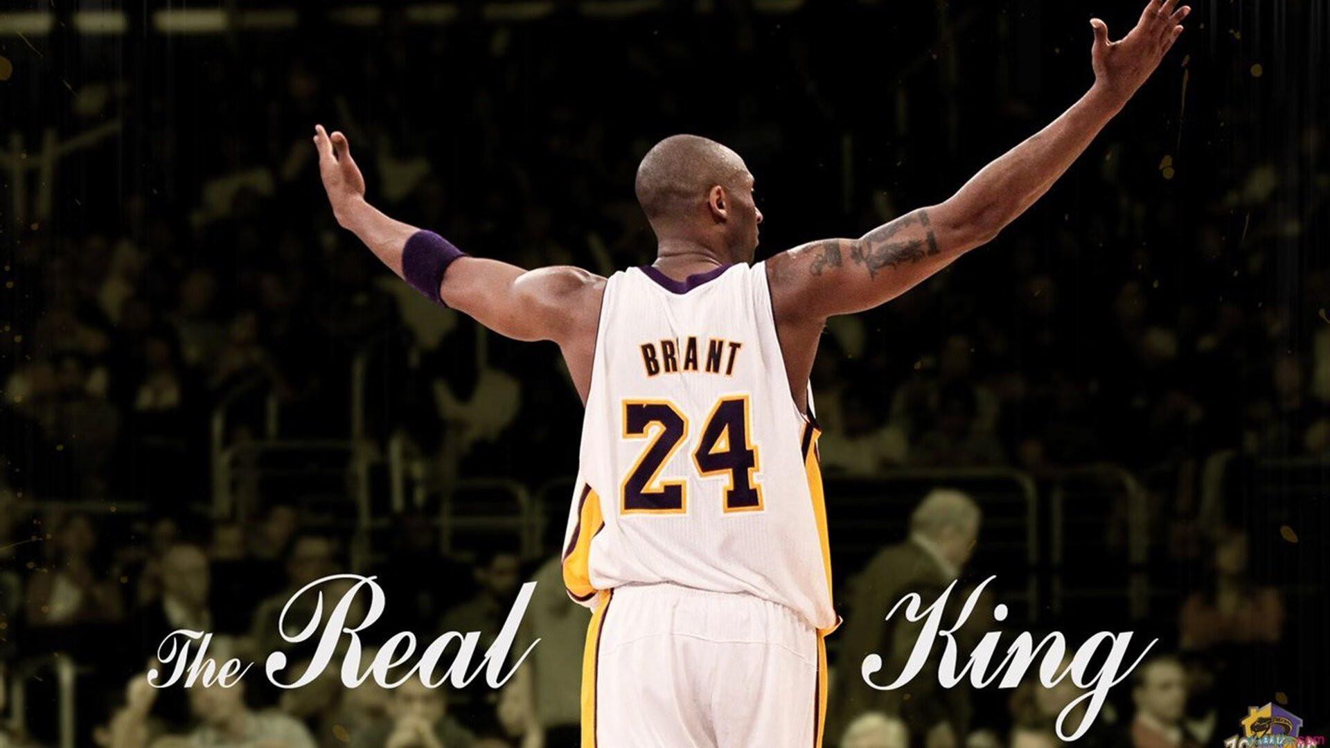 超频引擎,范戴克在F1争冠之夜的全能狂飙