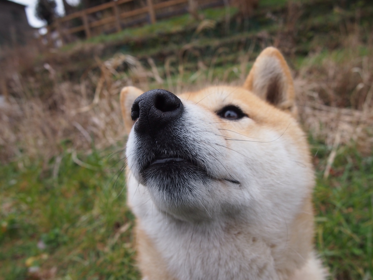 双城记，引擎轰鸣与终场哨响—当F1街道赛的弯道哲学遇上足球场的波兰时间