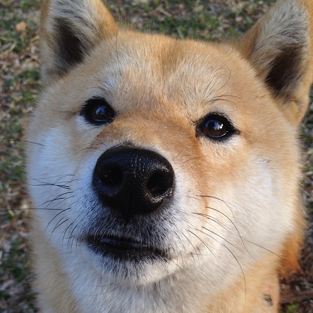 传奇之夜,马克西如何在年度焦点之战写下不朽瞬间