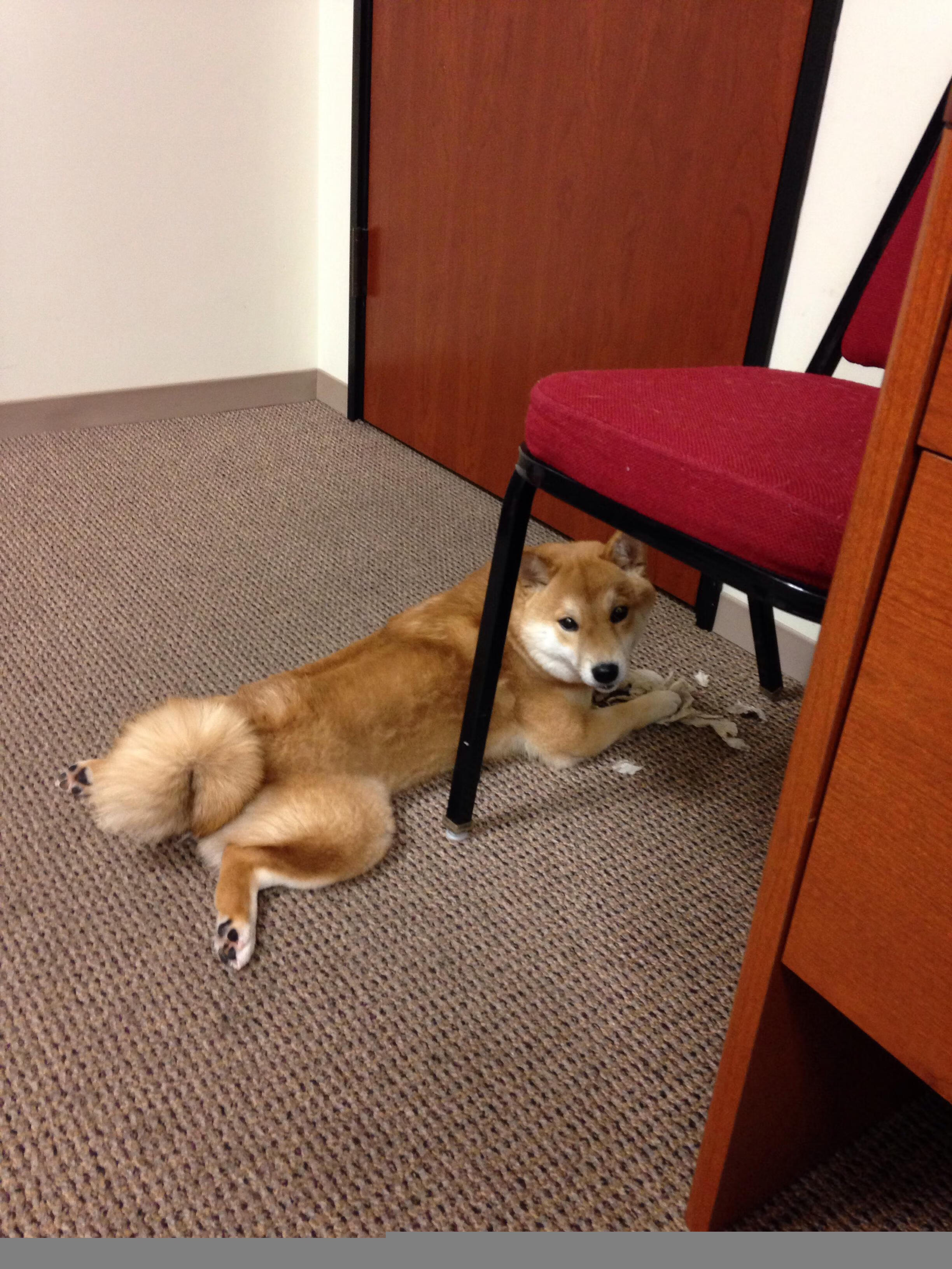 唯一性,加维与亚特兰大如何在不同战场上,提前终结比赛的悬念