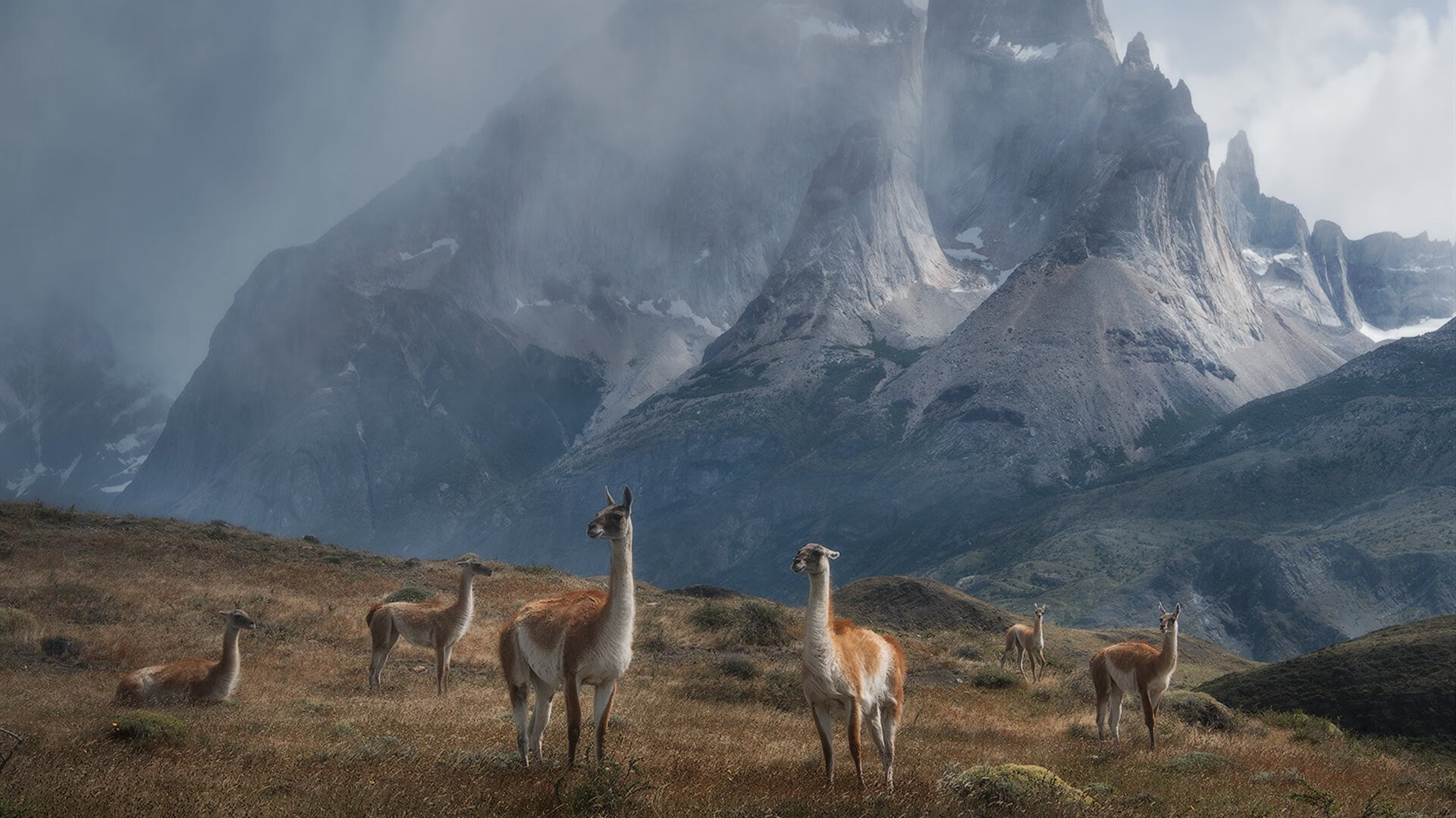 双星闪耀,孙兴慜与新西兰队如何在同一周改写了各自的剧本
