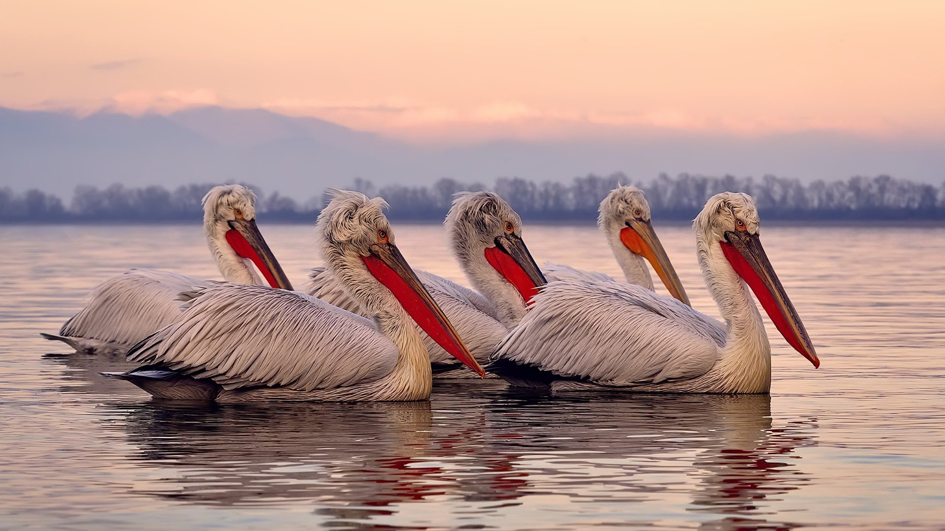 里昂晋级之路，内马尔化身关键先生，淘汰赛惊险过关