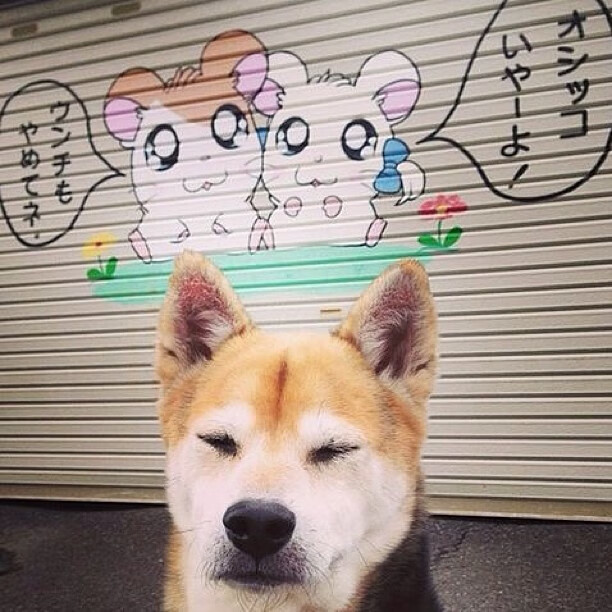 孤胆英雄与钢铁洪流,布伦森扛起全队,森林狼碾压骑士