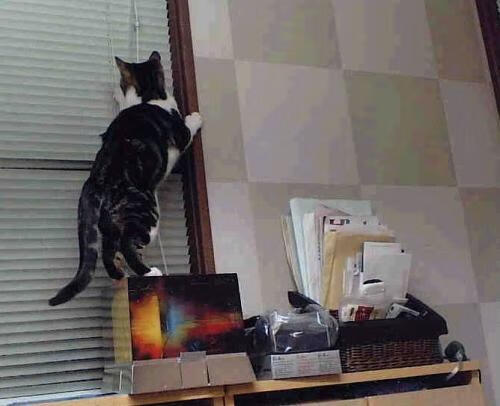 极速与绿茵的平行叙事,F1新加坡夜战与阿森纳的巴西攻略