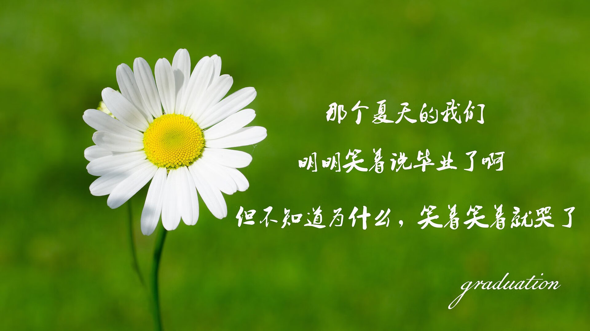 佩德里的蓝色手术刀，在罗马尼亚城墙与荷兰风暴之间，他定义了一届世界杯的唯一性