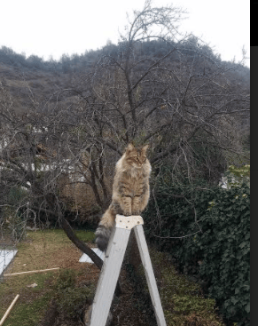 孤星独耀,布罗佐维奇与斯洛伐克在2026世界杯H组写下的唯一篇章